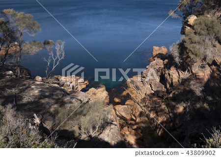 Sleepy Bay in Freycinet National Park 43809902