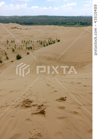 dune 43810489