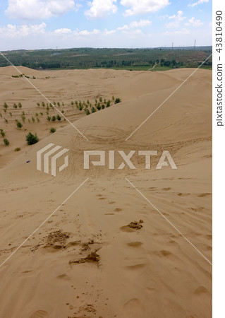 dune 43810490