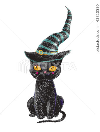 Hand drawn cute black witch cat with old hat  43810550