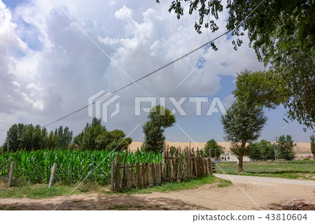 Inner Mongolia scenery Inner Mongolia scenery 43810604