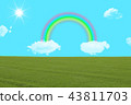 Meadow with rainbow and clouds 43811703