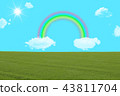 Meadow with rainbow and clouds 43811704