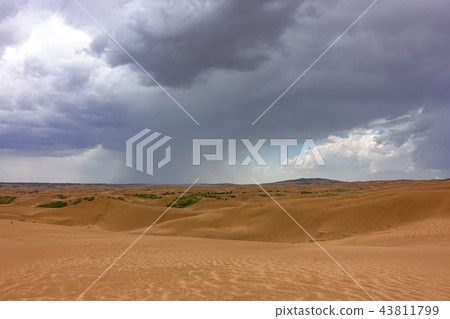 dune 43811799