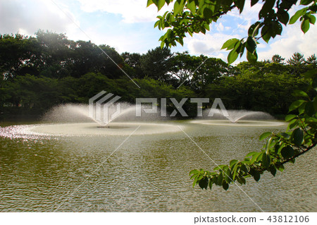 Meijo Park (Kitaen) / Oke Pond / Meijo 1 Kita-ku, Nagoya City, Aichi Prefecture 43812106