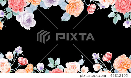 Watercolor pencil rose peony flower and leaves 43812195