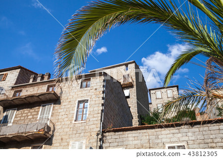 Traditional old Corsican town view with palm 43812305