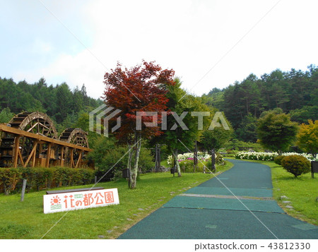Lake Yamanaka Flower Garden and Flower Landscape Lake Yamanaka Flower Garden and Flower Landscape 43812330
