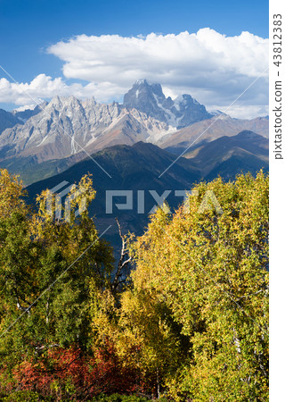 Autumn in mountains Svaneti and Ushba top, Georgia 43812383
