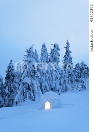 Igloo in the mountain forest Igloo in the mountain forest 43812398