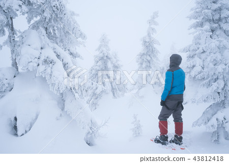 Hiking in the winter with snowshoes Hiking in the winter with snowshoes 43812418