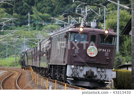 EF64 37 EL復古藍冰(2018/9/9) EF64 37 EL復古藍冰(2018/9/9) 43813430