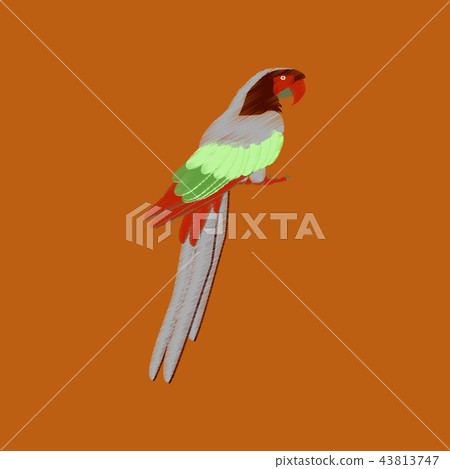 flat shading style icon parrot flat shading style icon parrot 43813747