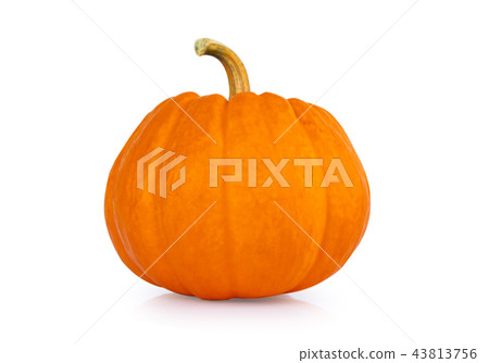Pumpkin orange isolated on white background. Pumpkin orange isolated on white background. 43813756