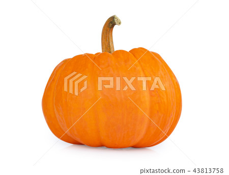 Pumpkin isolated on white background Pumpkin isolated on white background 43813758