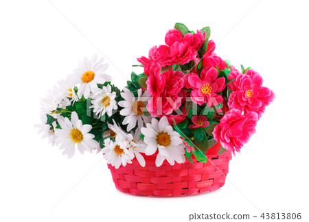 Flowers in basket Flowers in basket 43813806
