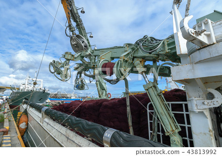 [青森縣八戶市]一艘網漁船停泊在八戶漁港 43813992