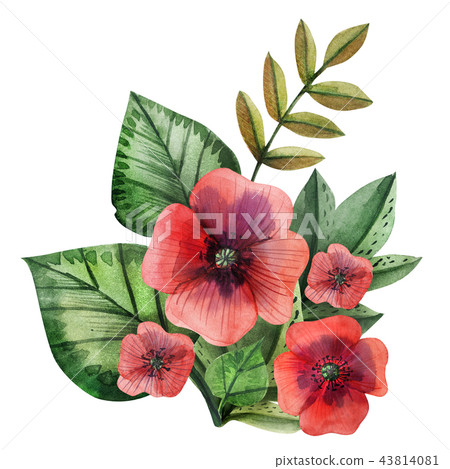 Poppy and grass watercolor boutonniere 43814081