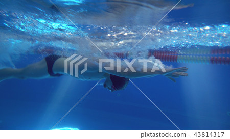 Underwater view to the beautiful professional swimmer swiming crawl stroke in the pool Underwater view to the beautiful professional swimmer swiming crawl stroke in the pool 43814317