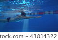 Beautiful professional swimmer doing butterfly stroke in pool with rich blue water, shot from 43814322