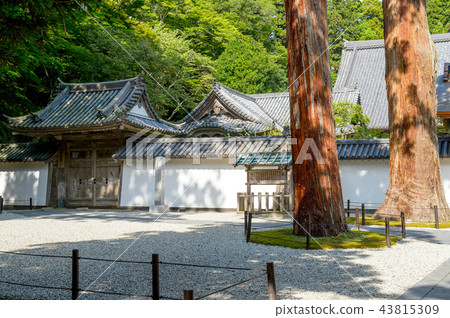 禪宗寺廟Onarimon Miyagi縣 43815309