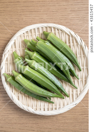 Okra Makoto Okra Makoto 43815457