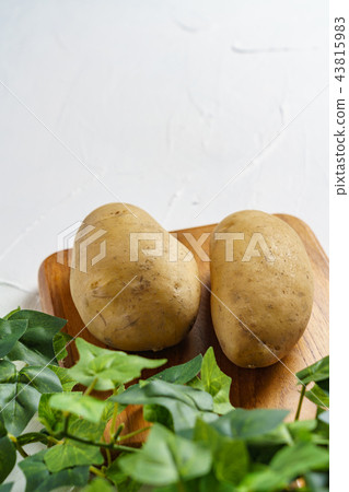potato potato 43815983