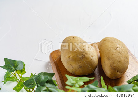 potato potato 43815984