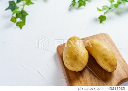 potato potato 43815985