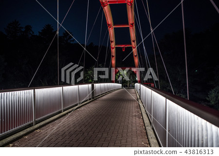 Lighted up bridge 43816313