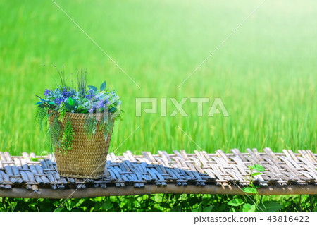 Flowers in a basket on a green background. Flowers in a basket on a green background. 43816422