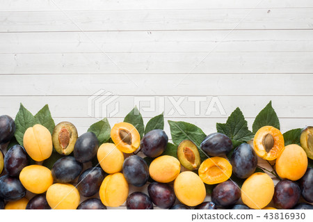 Fresh plum and apricot berries with leaves Fresh plum and apricot berries with leaves 43816930
