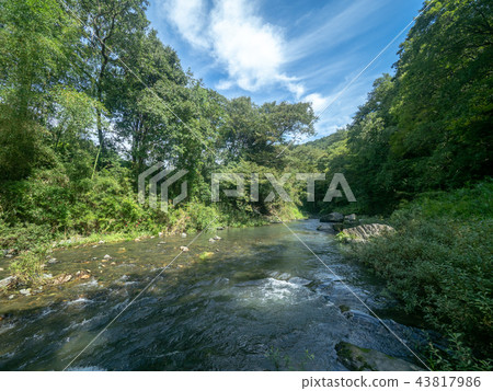 九月嵐山谷 九月嵐山谷 43817986