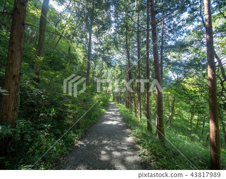 九月嵐山谷 九月嵐山谷 43817989