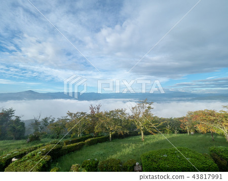 雲彩海從Chichibu秀麗山的 雲彩海從Chichibu秀麗山的 43817991