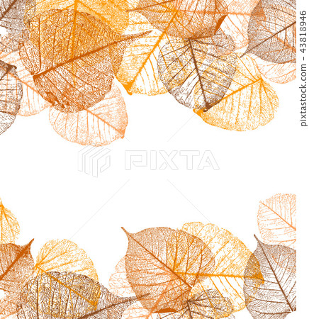 Frame of vector autumn leaves 43818946