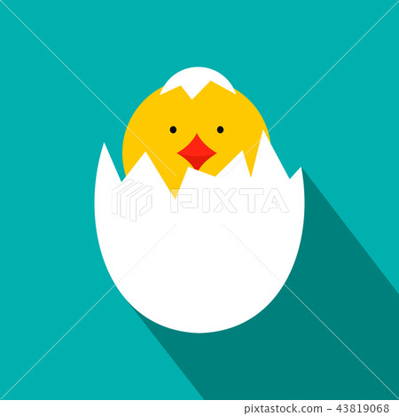 Yellow newborn chicken hatched from the egg icon 43819068