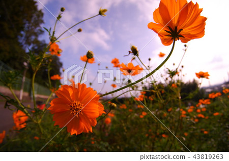 在宇宙宇宙的時間 43819263