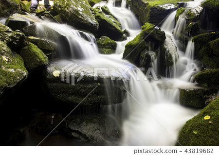 青苔和瀑佈在山谷，苔蘚的山谷 43819682