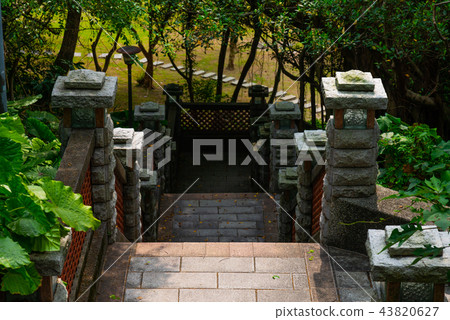 台北圓山飯店綠蔭通道 台北圓山ホテル山林歩道 Tree Trail 台北圓山飯店綠蔭通道 台北圓山ホテル山林歩道 Tree Trail 43820627