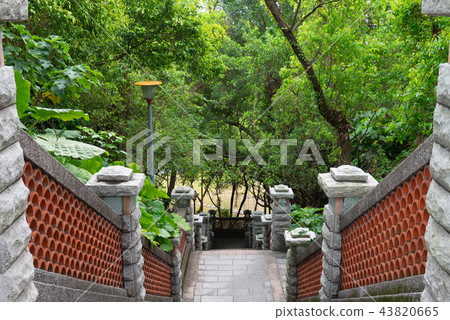 台北圓山飯店綠蔭通道 台北圓山ホテル山林歩道 Tree Trail 43820665