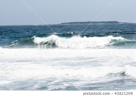 東海的波浪 43821209