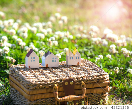 Spring Snap 43821336