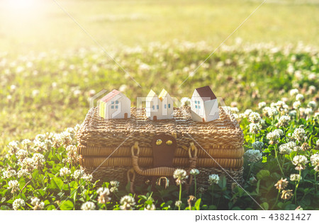 春天的快照 43821427