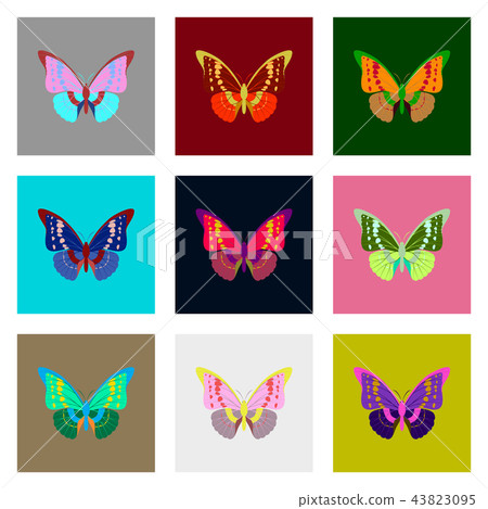 Flat icons big collection of colorful butterflies 43823095
