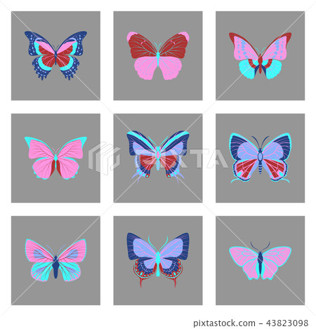 Flat icons big collection of colorful butterflies 43823098