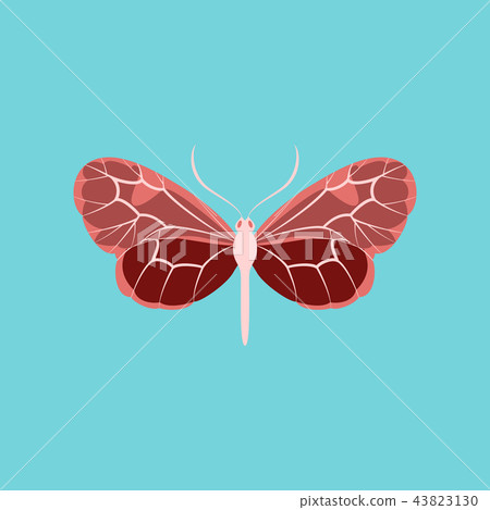 Colorful icon of butterfly isolated on blue Colorful icon of butterfly isolated on blue 43823130