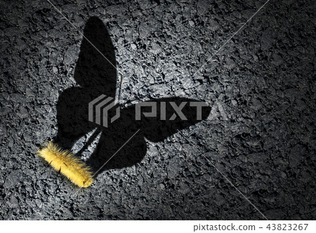 Aspirations Concept Aspirations Concept 43823267