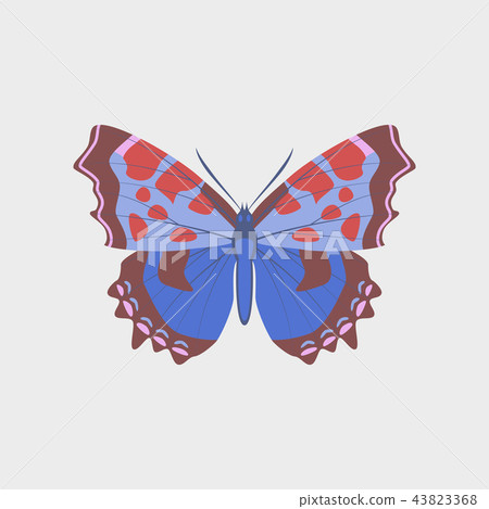 Colorful icon of butterfly isolated on white Colorful icon of butterfly isolated on white 43823368