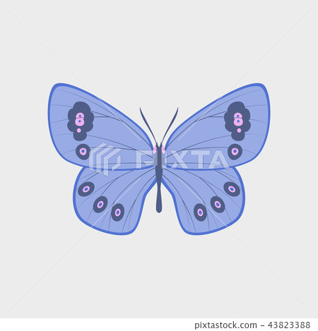 Colorful icon of butterfly isolated on white 43823388
